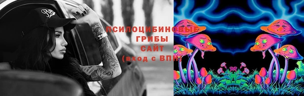 молекула духа Нефтекумск