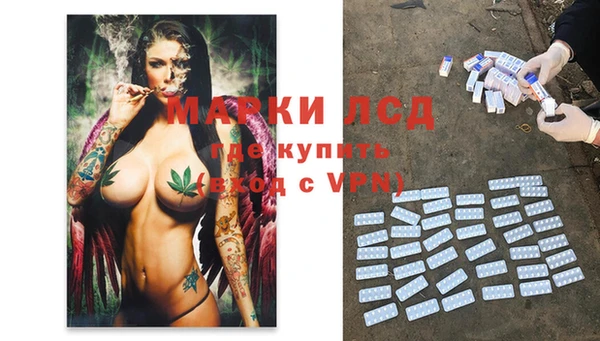 молекула духа Нефтекумск