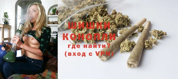 соль ск Нея