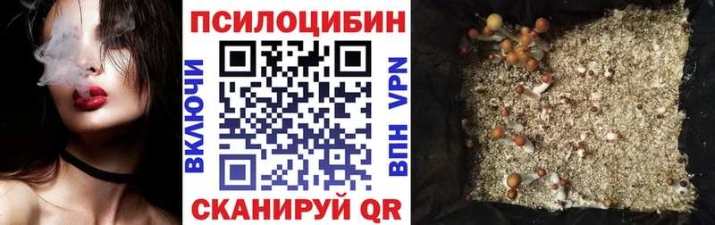 Псилоцибиновые грибы MAGIC MUSHROOMS  KRAKEN сайт  Подпорожье 